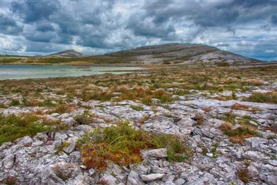 Der Burren